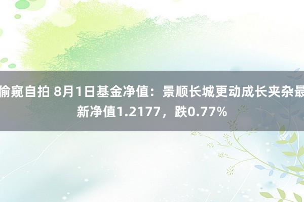 偷窥自拍 8月1日基金净值：景顺长城更动成长夹杂最新净值1.2177，跌0.77%