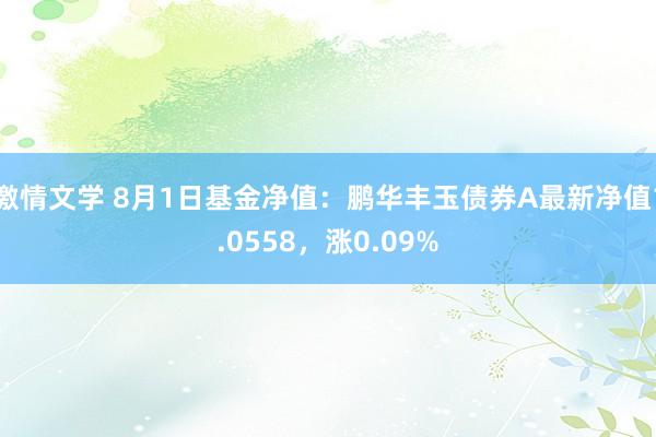 激情文学 8月1日基金净值：鹏华丰玉债券A最新净值1.0558，涨0.09%