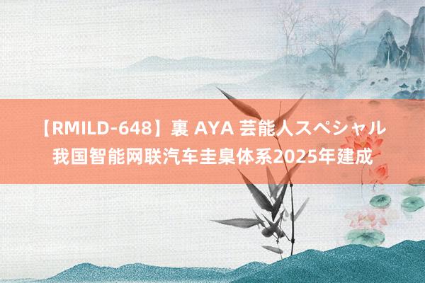 【RMILD-648】裏 AYA 芸能人スペシャル 我国智能网联汽车圭臬体系2025年建成