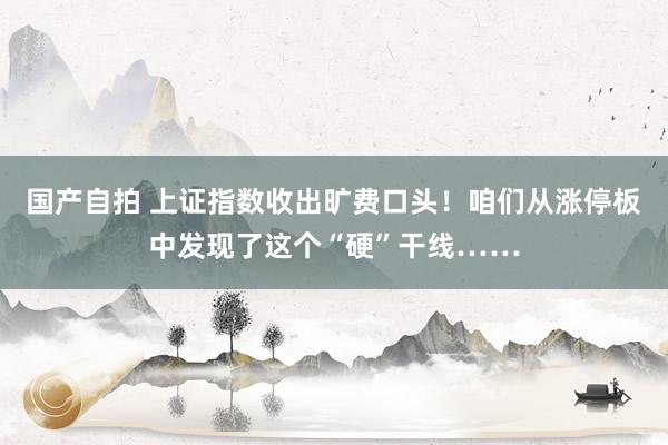 国产自拍 上证指数收出旷费口头！咱们从涨停板中发现了这个“硬”干线……