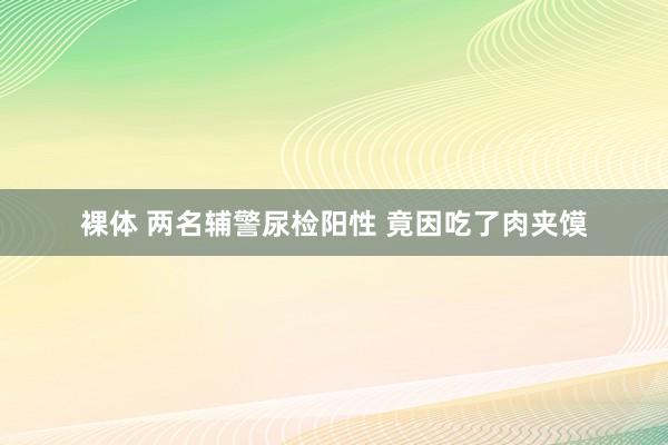 裸体 两名辅警尿检阳性 竟因吃了肉夹馍