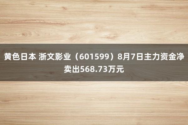 黄色日本 浙文影业（601599）8月7日主力资金净卖出568.73万元