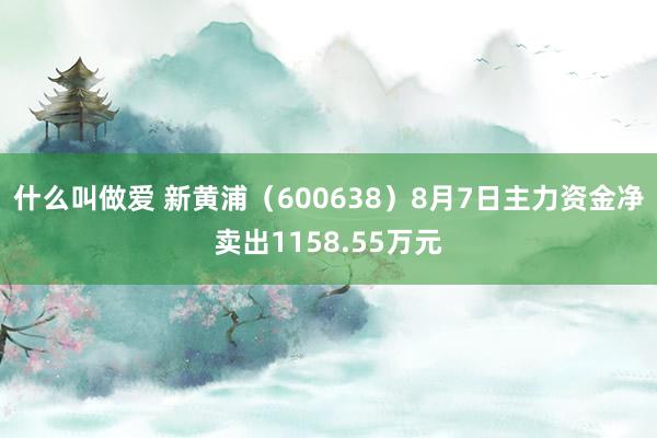 什么叫做爱 新黄浦（600638）8月7日主力资金净卖出1158.55万元