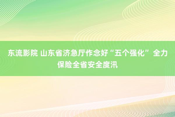 东流影院 山东省济急厅作念好“五个强化” 全力保险全省安全度汛