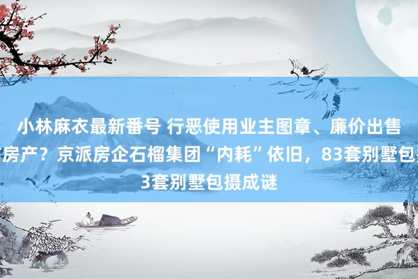 小林麻衣最新番号 行恶使用业主图章、廉价出售已冻结房产？京派房企石榴集团“内耗”依旧，83套别墅包摄成谜