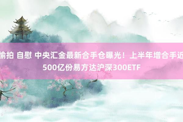 偷拍 自慰 中央汇金最新合手仓曝光！上半年增合手近500亿份易方达沪深300ETF