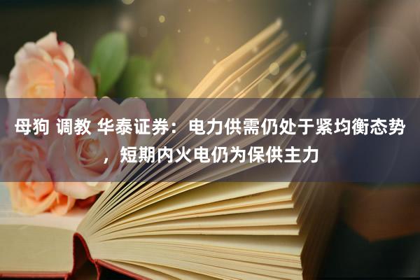 母狗 调教 华泰证券：电力供需仍处于紧均衡态势，短期内火电仍为保供主力