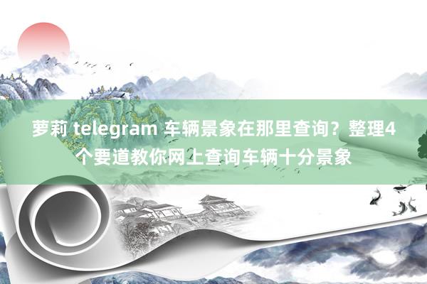 萝莉 telegram 车辆景象在那里查询？整理4个要道教你网上查询车辆十分景象