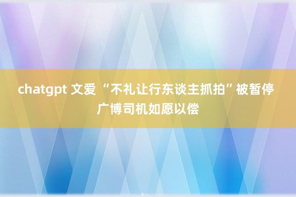 chatgpt 文爱 “不礼让行东谈主抓拍”被暂停 广博司机如愿以偿