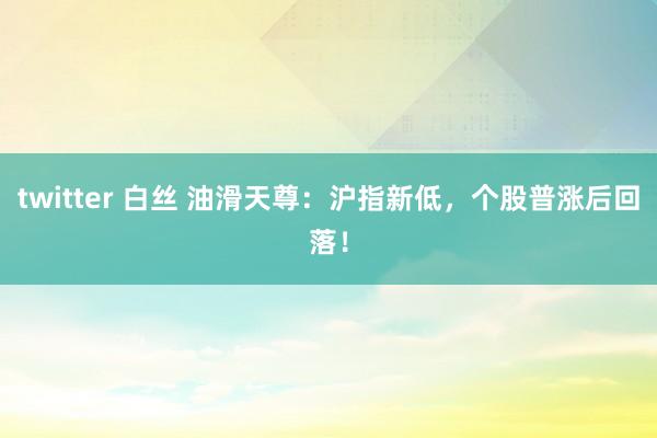 twitter 白丝 油滑天尊：沪指新低，个股普涨后回落！