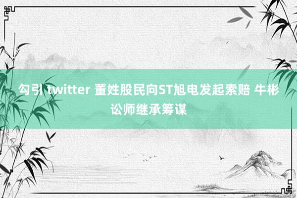 勾引 twitter 董姓股民向ST旭电发起索赔 牛彬讼师继承筹谋